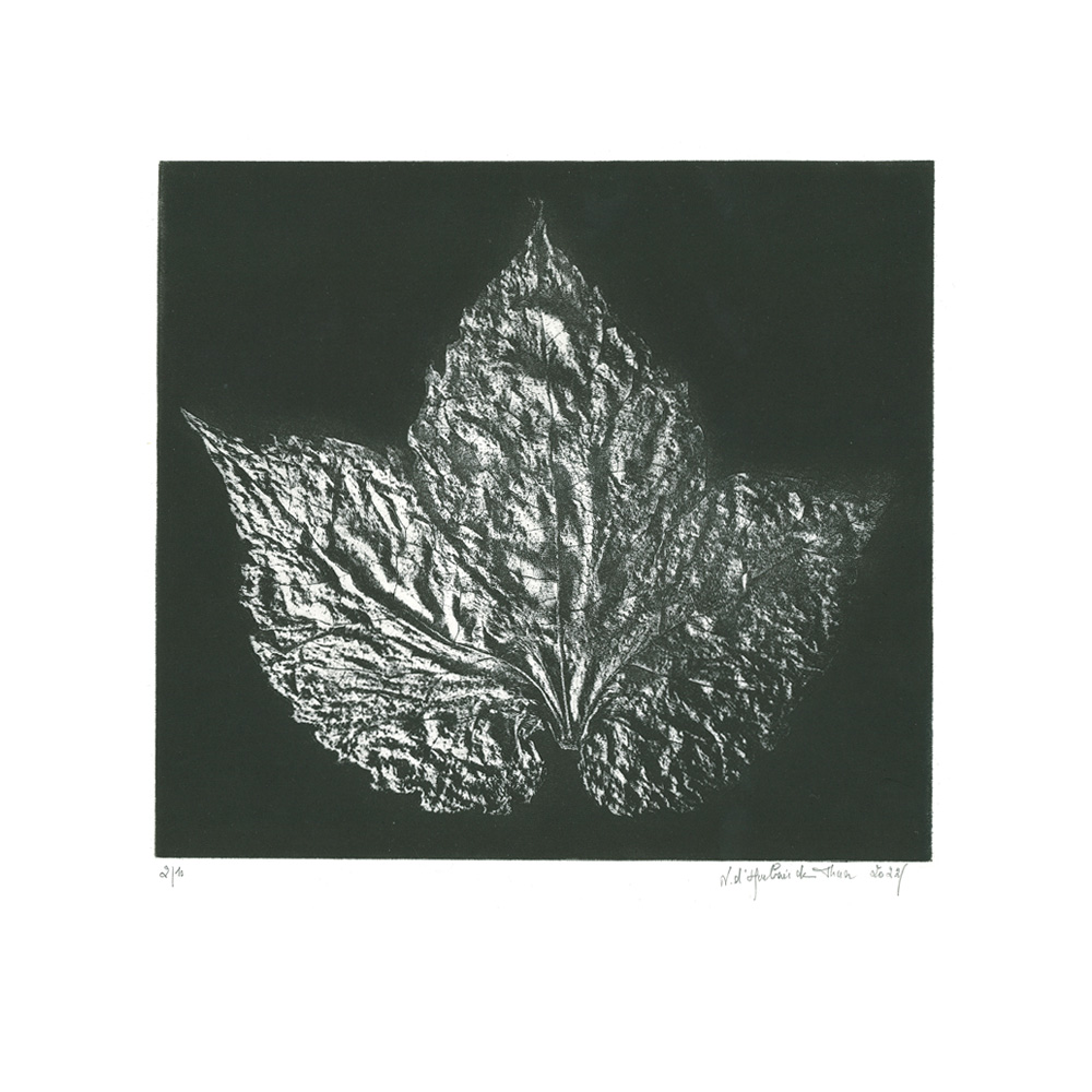 A fleur d'encre II, Technique mixte, 16,2x26 cm | 2022
