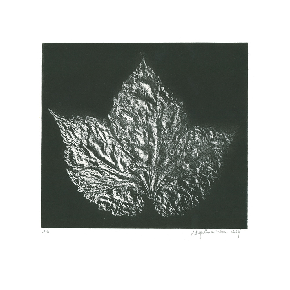 A fleur d'encre II, Technique mixte, 16,2x26 cm | 2022