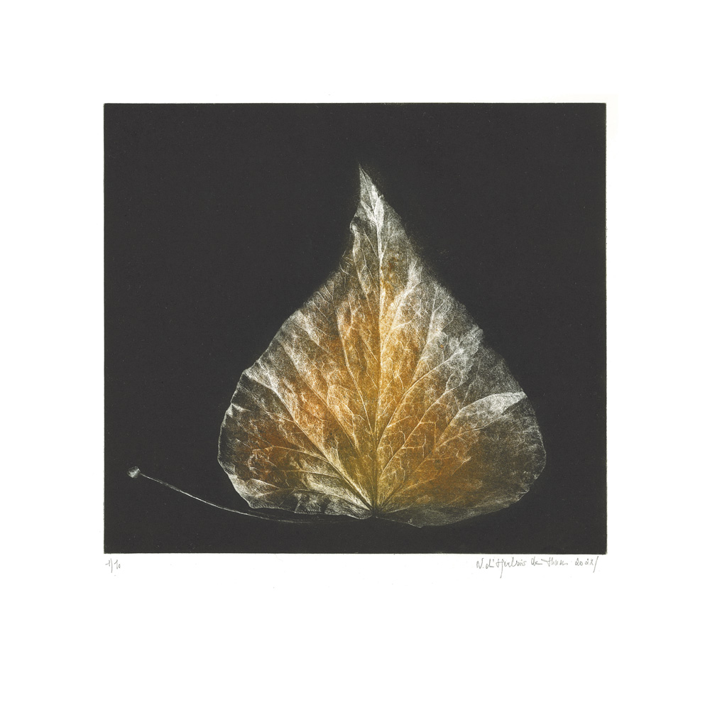 Foliacé I, Technique mixte, 16,2x26 cm | 2022